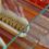 Sac’s Tasty Hot Dogs