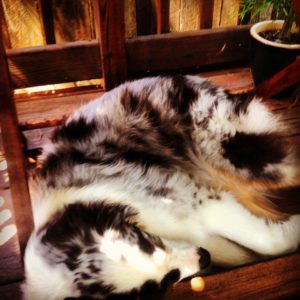 Ben has been asleep on the job!