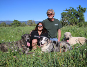 Deanna, John and the Dogs