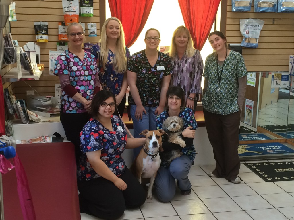 Animal Clinic of Benicia 2016