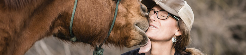 Through the Eyes of a Horse